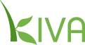 Kiva