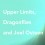 Upper Limits, Dragonflies and Joel Osteen